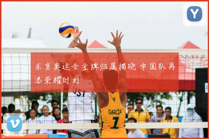 东京奥运会金牌归属揭晓 中国队再添荣耀时刻