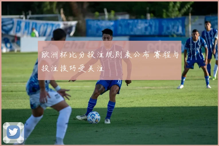 欧洲杯比分投注规则表公布 赛程与投注技巧受关注