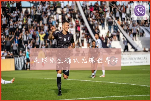 足球先生确认无缘世界杯